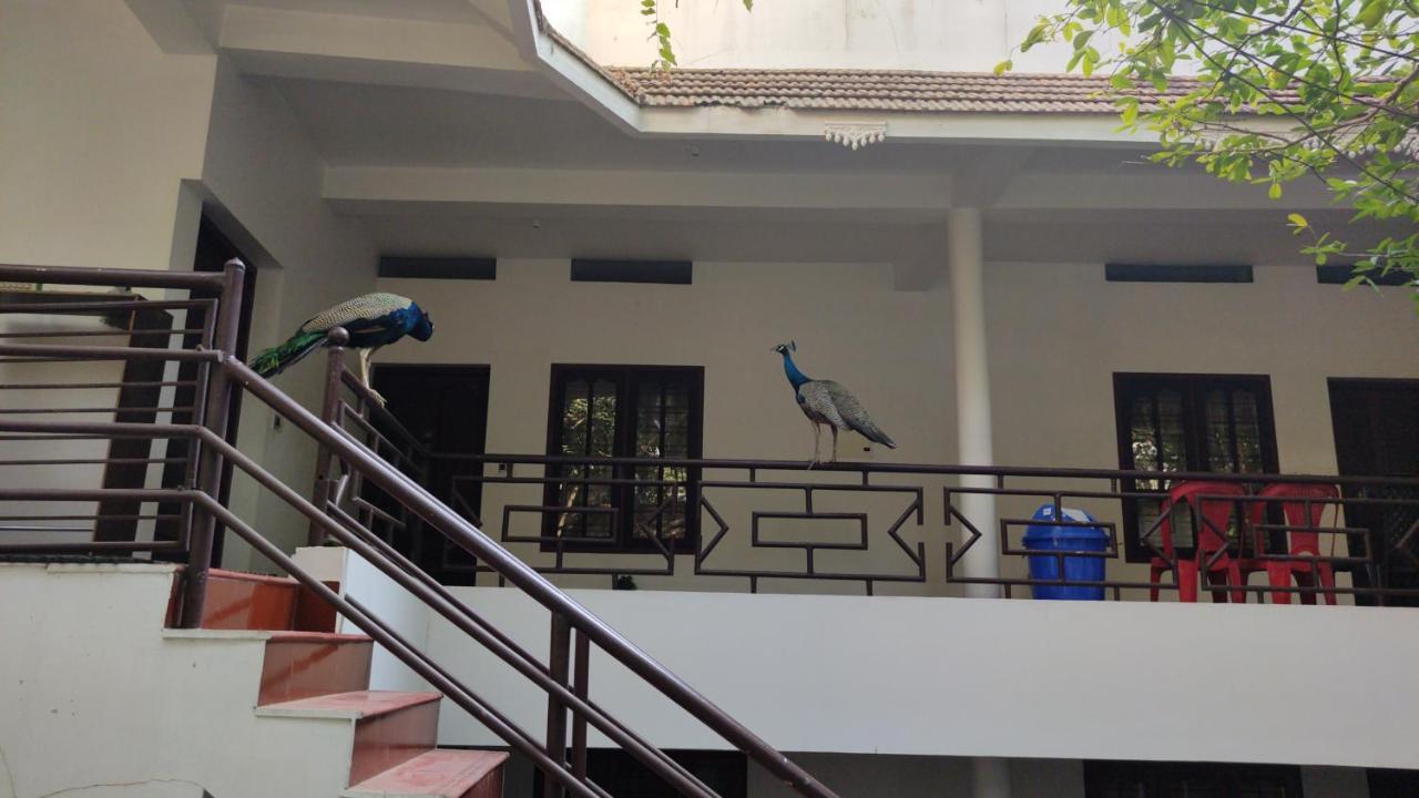 Pebblecoast Beach Resort Kovalam Exterior photo